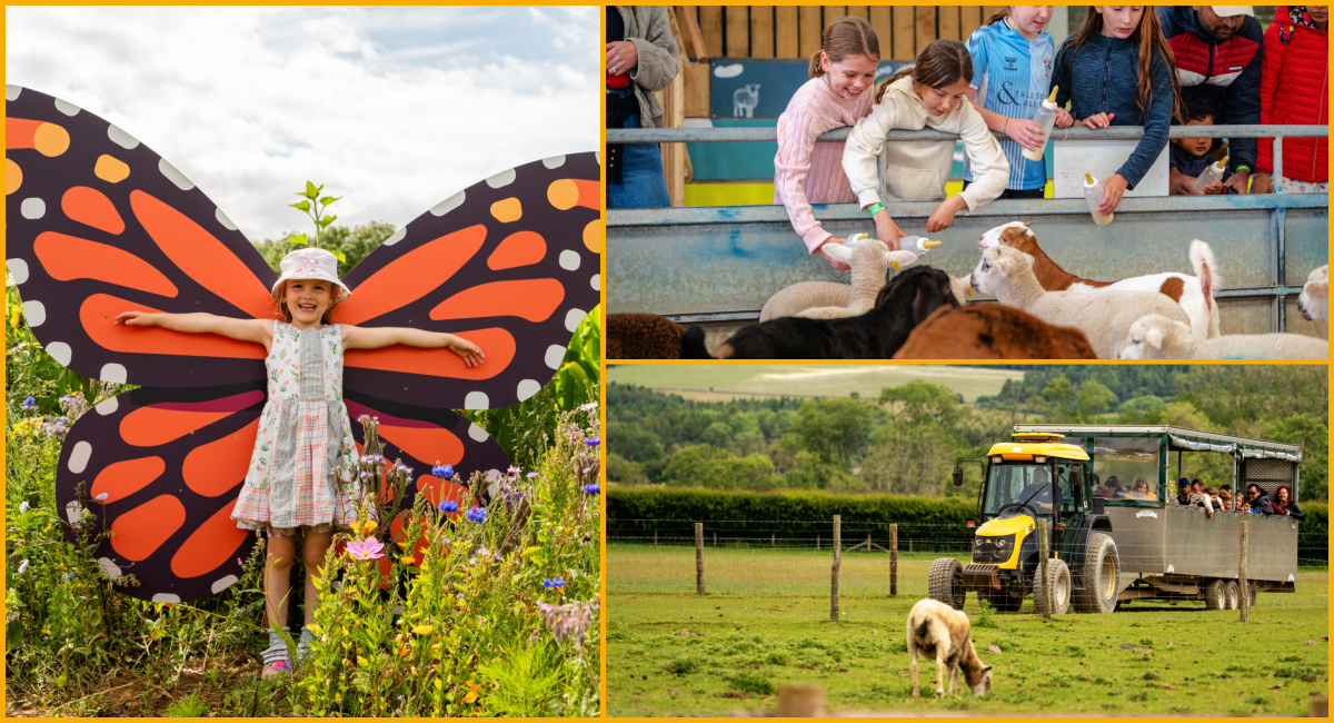 A collage of images: A girl with butterfly wings, a tractor on a farm and children bottle-feeding goats at Cotswold Farm Park